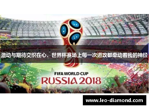 激动与期待交织在心，世界杯赛场上每一次进攻都牵动着我的神经